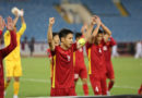 tai-sao-doi-tuyen-viet-nam-khong-da-vong-loai-asian-cup-sports-vui