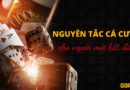 NGUYÊN TẮC CÁ ĐỘ DÀNH CHO NGƯỜI MỚI BẮT ĐẦU