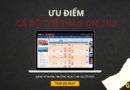 uu-diem-ca-do-online