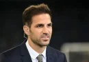 Cesc Fabregas làm huấn luyện viên trưởng CLB Serie A